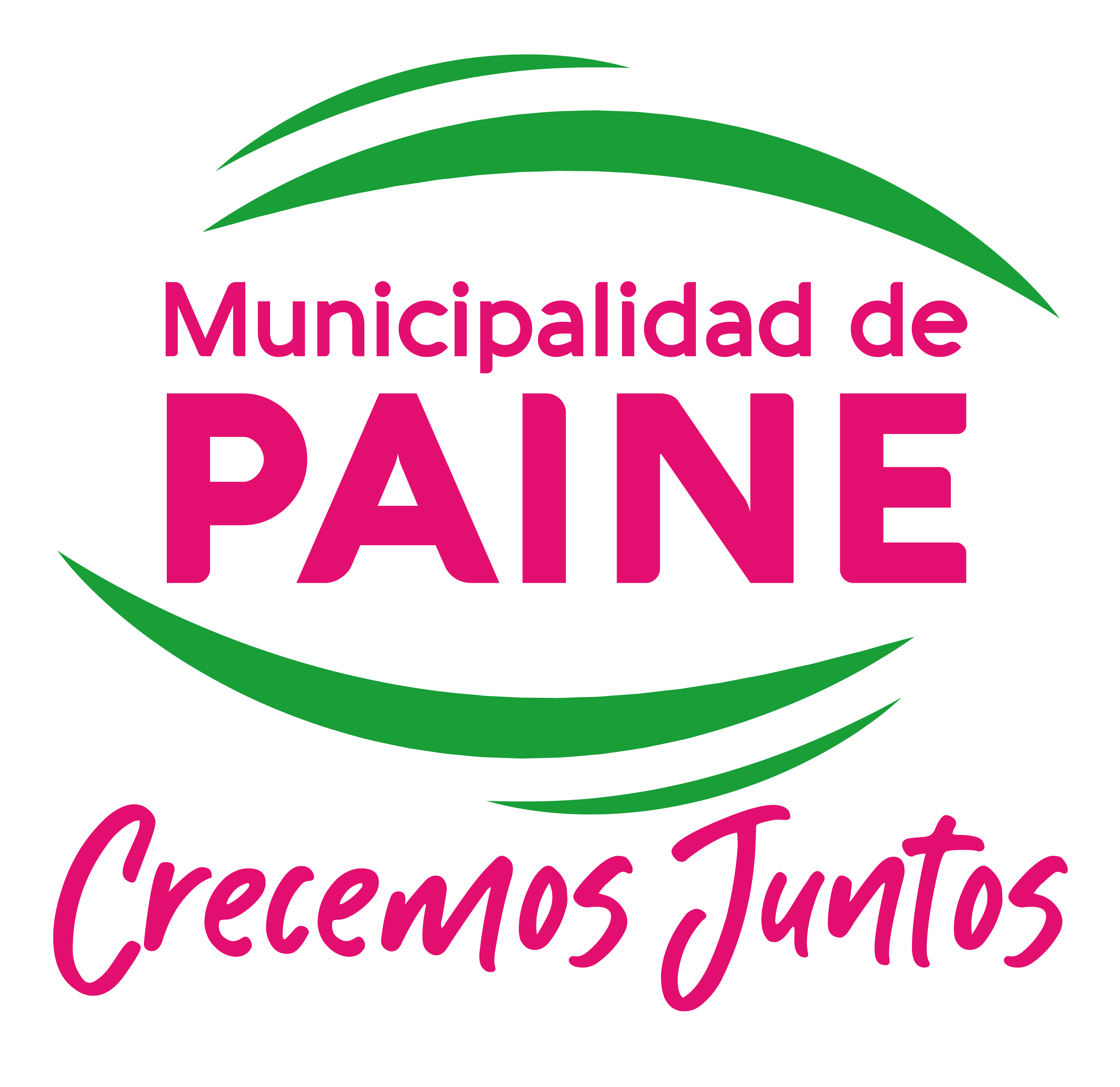 Municipalidad de Paine
